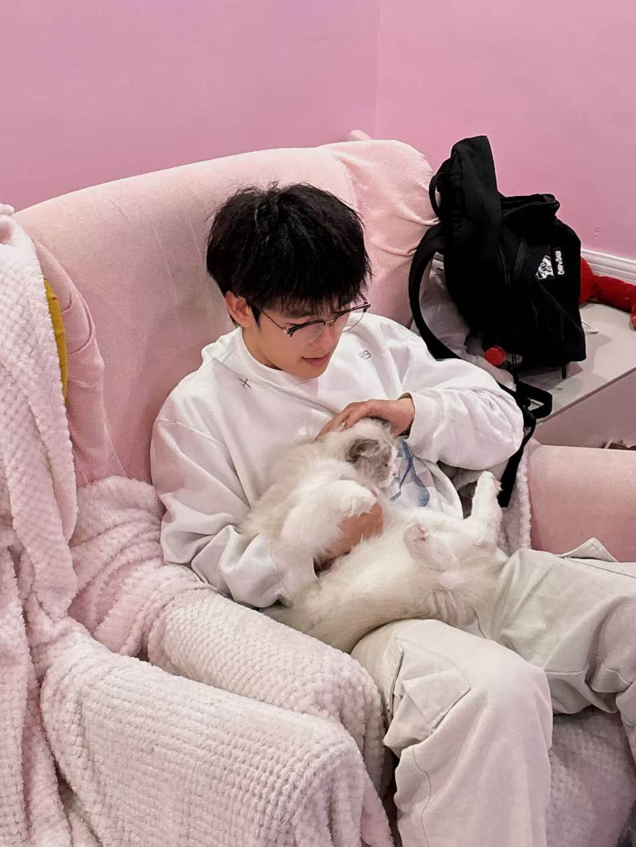 Pet